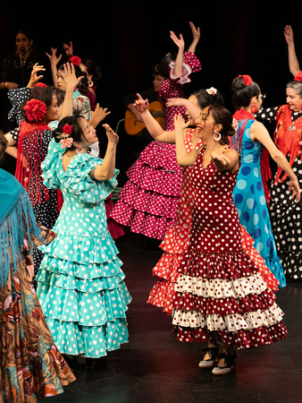 flamencura (20)