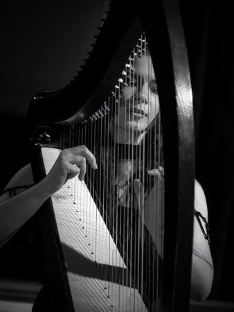 Serenade of the stars (8)