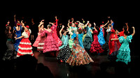 flamencura (21)