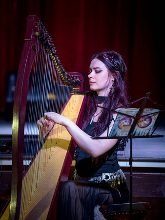 Serenade of the stars (2)