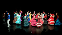 flamencura (9)